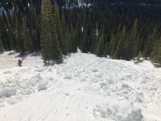 Illustration for article titled Opps I crapped my pants: inbounds avalanche at Whitefish MTN Resort